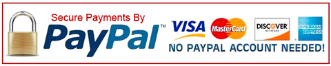 Paypal Payment Processing